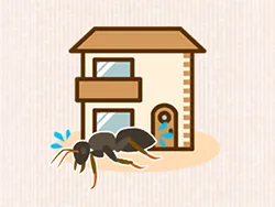 アリの発生予防