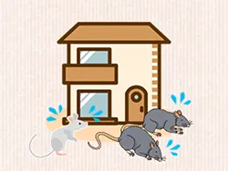 ネズミの予防