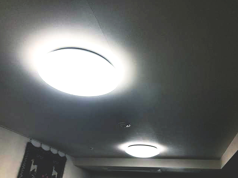 アブラムシは重曹で駆除できる 家庭菜園を脅かす小さな敵との戦い方教えます 街の修理屋さん