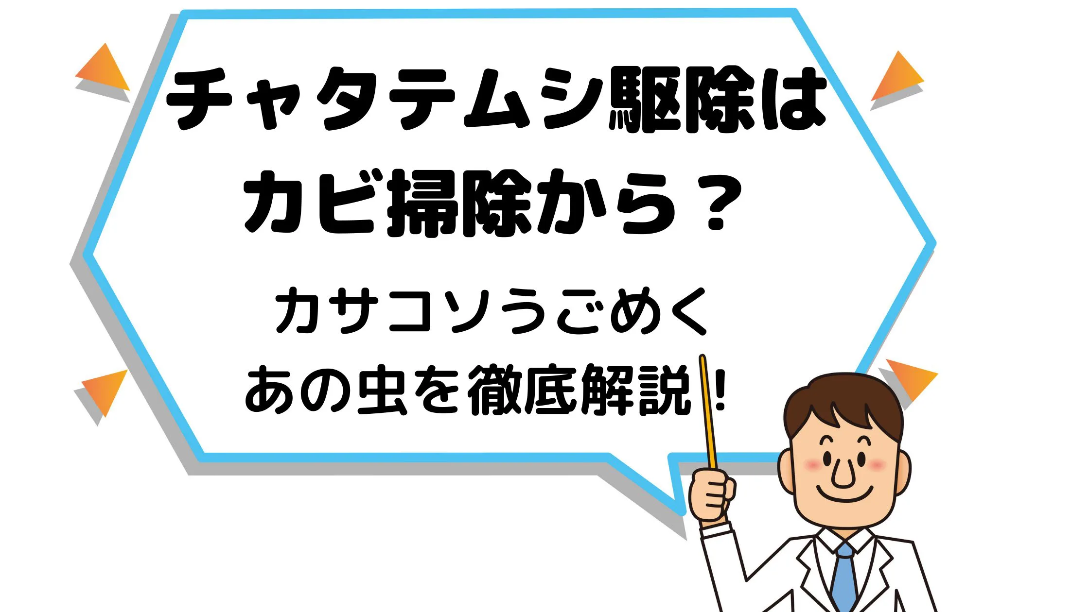 チャタテムシ駆除はカビ掃除から カサコソうごめくあの虫を徹底解説 街の修理屋さん