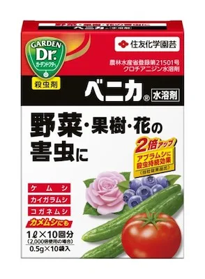 クサギカメムシの対策をしたい 洗濯物につく理由や予防方法まで解説 街の修理屋さん