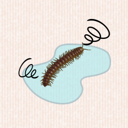 ヤスデ駆除 退治 発生源調査 7 700円 キッチン リビング ビルや商業施設などでの駆除作業に対応 作業費用 料金目安をご紹介 街の修理屋さん