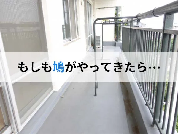 鳩の卵に注意 ベランダに巣を作らせない方法 街の修理屋さん