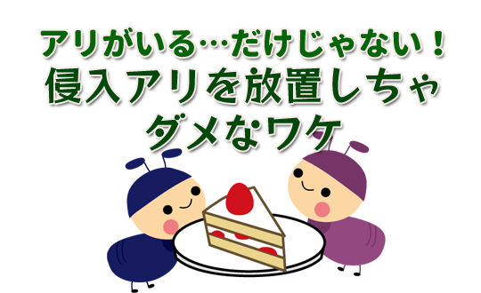 アリ退治は状況判断がミソ お手軽に効果を発揮するための秘訣とは 街の修理屋さん
