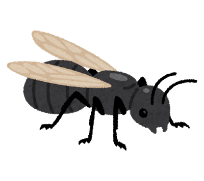 羽アリに似た虫は意外と多い 見分け方から駆除方法まで徹底解説 街の修理屋さん
