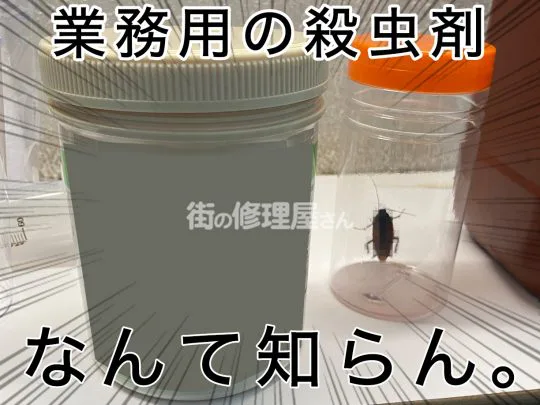 動画検証 駆除剤 殺虫剤 毒餌 ベイト の実験 チャバネ クロゴキブリ 街の修理屋さん