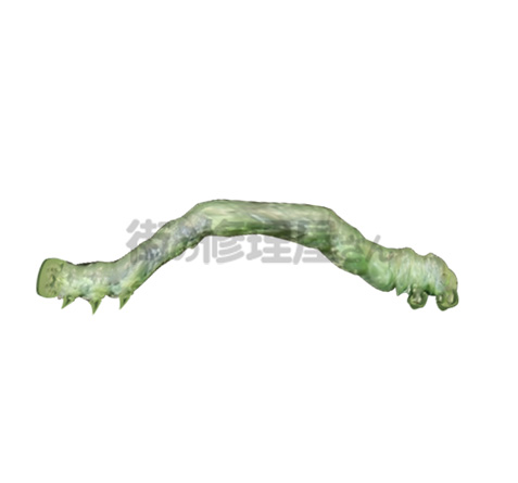 クロクモエダジャクの幼虫(イメージ)