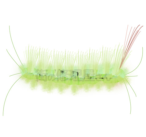 リンゴドクガの幼虫(イメージ)